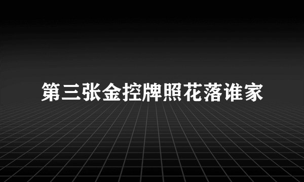 第三张金控牌照花落谁家