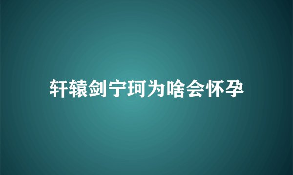轩辕剑宁珂为啥会怀孕