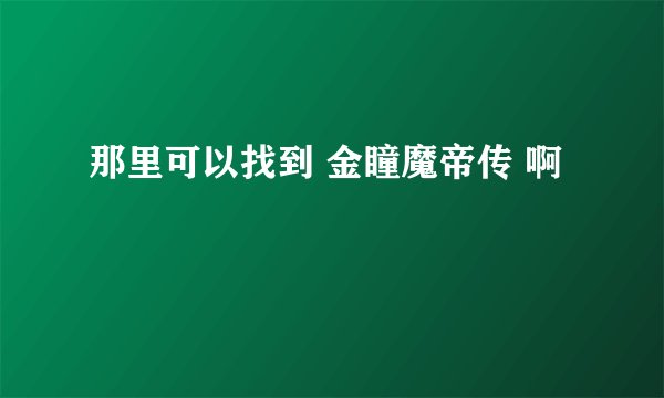 那里可以找到 金瞳魔帝传 啊