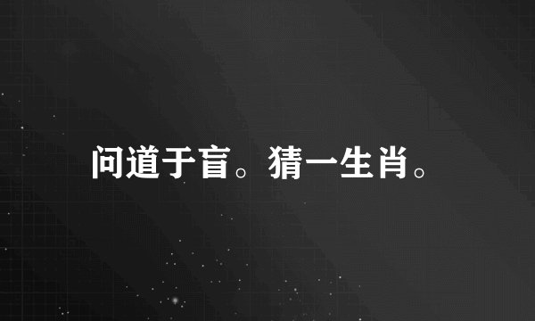 问道于盲。猜一生肖。