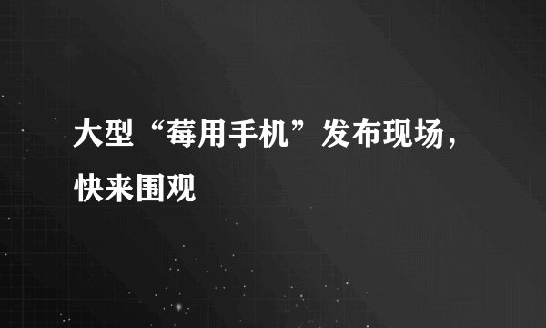 大型“莓用手机”发布现场，快来围观