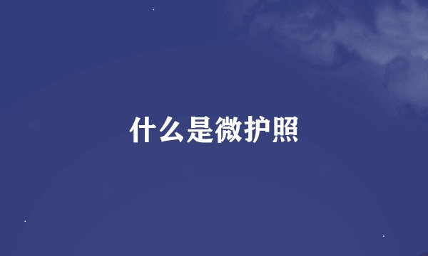 什么是微护照