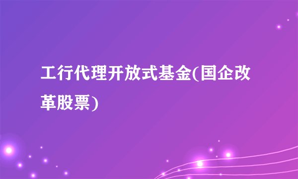 工行代理开放式基金(国企改革股票)