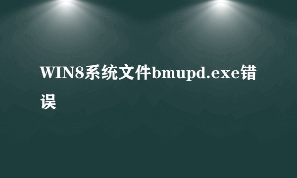 WIN8系统文件bmupd.exe错误