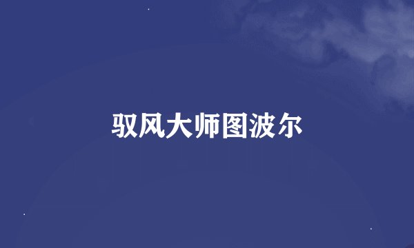 驭风大师图波尔