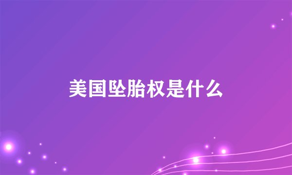 美国坠胎权是什么