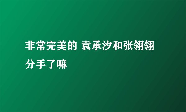 非常完美的 袁承汐和张翎翎分手了嘛