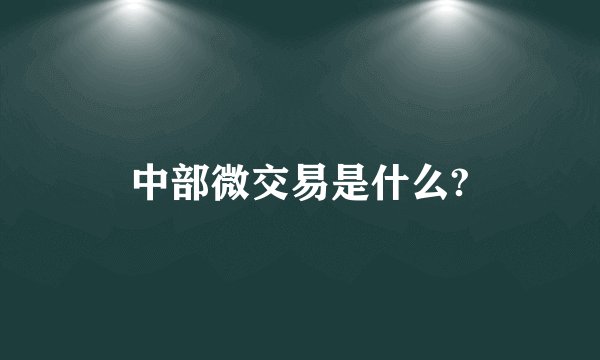 中部微交易是什么?