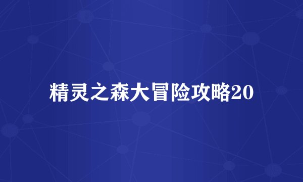 精灵之森大冒险攻略20