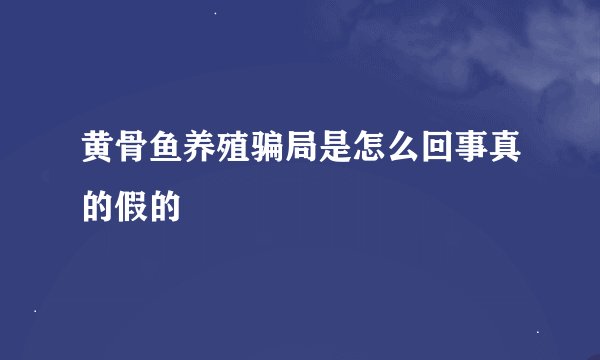 黄骨鱼养殖骗局是怎么回事真的假的