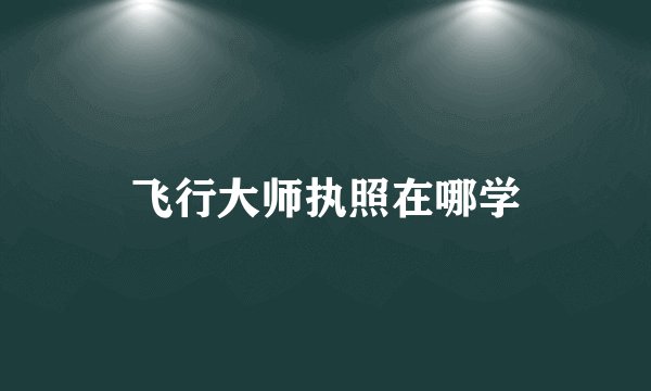 飞行大师执照在哪学