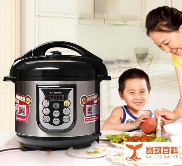电压力锅哪个牌子好，什么牌子的电压力锅比较好