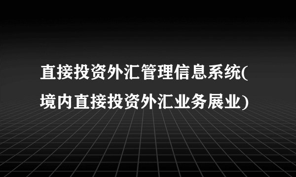 直接投资外汇管理信息系统(境内直接投资外汇业务展业)
