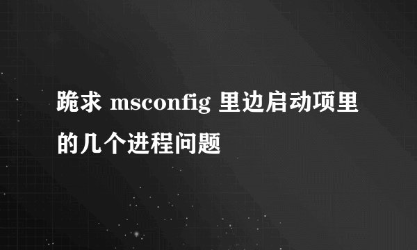 跪求 msconfig 里边启动项里的几个进程问题
