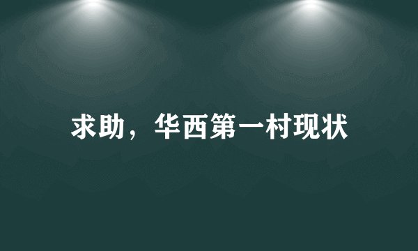 求助,华西第一村现状