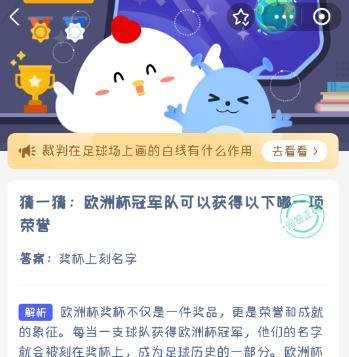 欧洲杯冠军队可以获得以下哪一项荣誉？