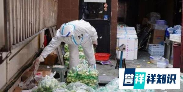 25万本金获利150万！上海男子囤菜高价倒卖被抓，600%利率太吓人