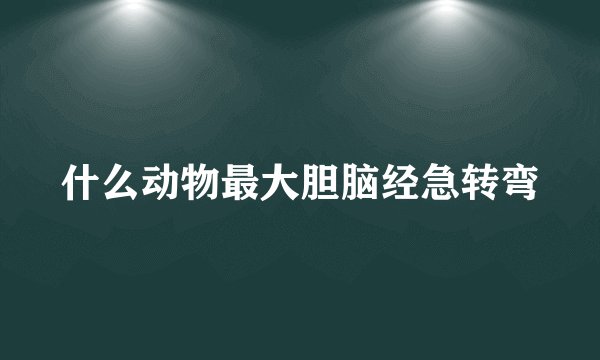 什么动物最大胆脑经急转弯