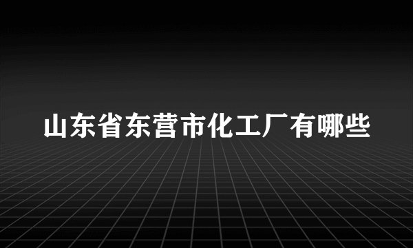 山东省东营市化工厂有哪些