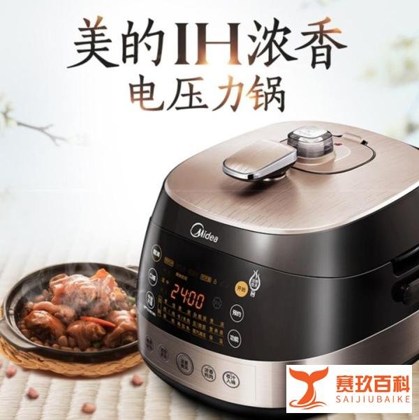 电压力锅哪个牌子好，什么牌子的电压力锅比较好