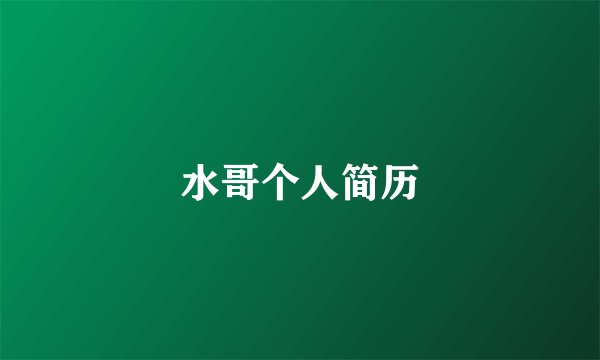 水哥个人简历