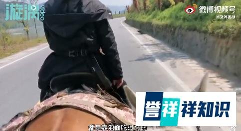 夫妻骑马从新疆回福建已花30多万，为圆侠客梦，网友：另一种生活，羡慕