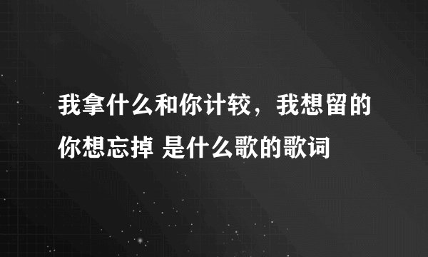我拿什么和你计较,我想留的你想忘掉 是什么歌的歌词