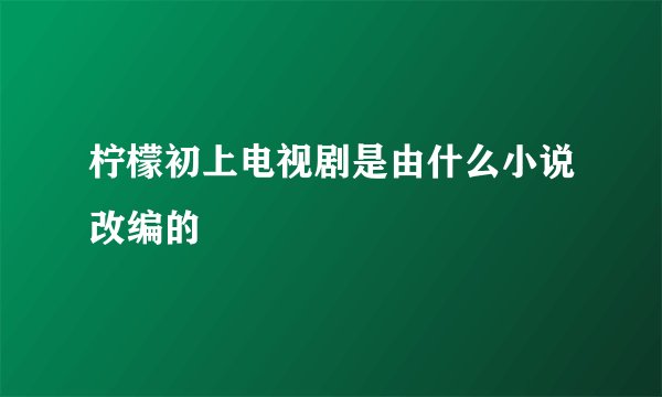 柠檬初上电视剧是由什么小说改编的
