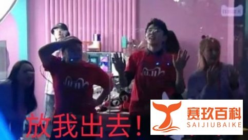 #李佳琦趴窗户上看张韶涵好像壁虎#网友：太可爱了！