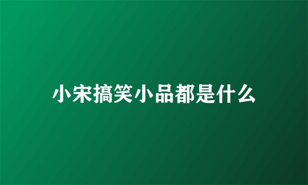 小宋搞笑小品都是什么