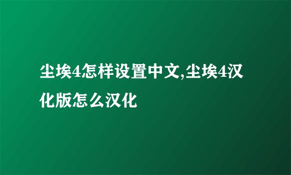 尘埃4怎样设置中文,尘埃4汉化版怎么汉化