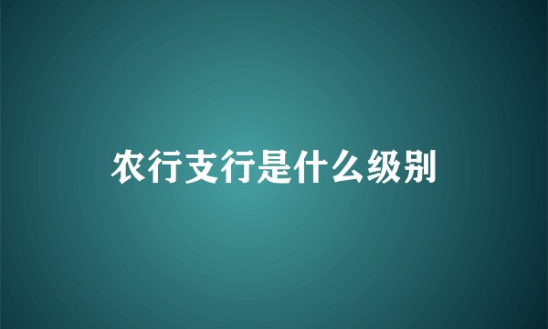 农行支行是什么级别