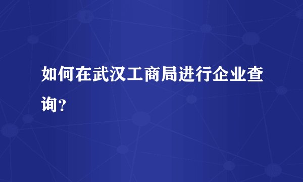 如何在武汉工商局进行企业查询？