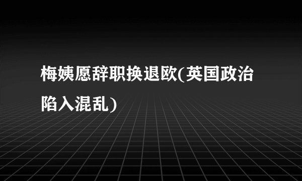 梅姨愿辞职换退欧(英国政治陷入混乱)