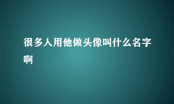 很多人用他做头像叫什么名字啊
