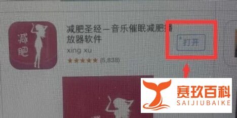 怎样在Ipad mini上下载软件