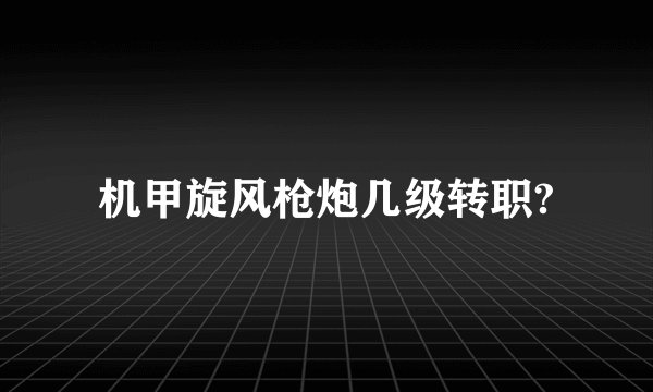 机甲旋风枪炮几级转职?