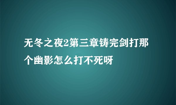 无冬之夜2第三章铸完剑打那个幽影怎么打不死呀