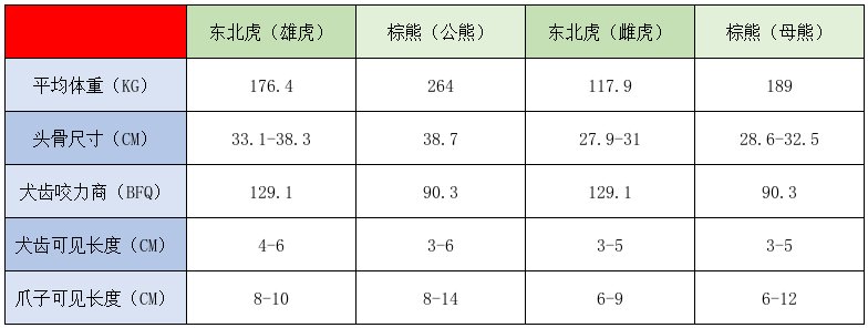 东北虎与棕熊谁更厉害?