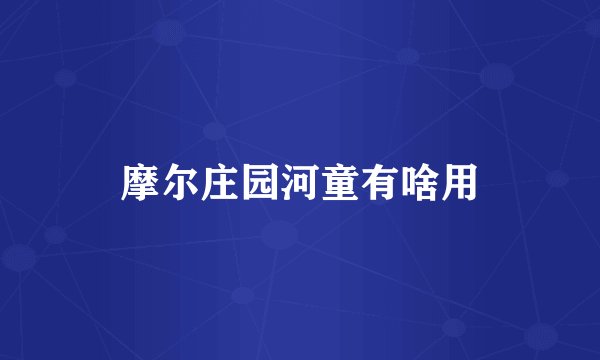 摩尔庄园河童有啥用