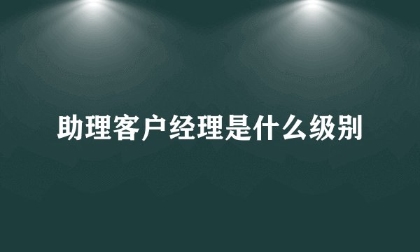 助理客户经理是什么级别