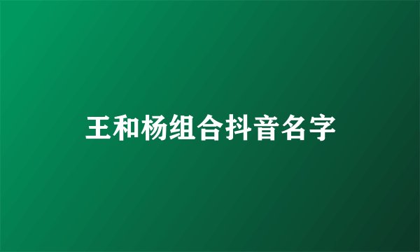 王和杨组合抖音名字