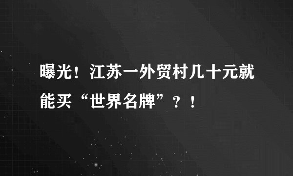 曝光！江苏一外贸村几十元就能买“世界名牌”？！