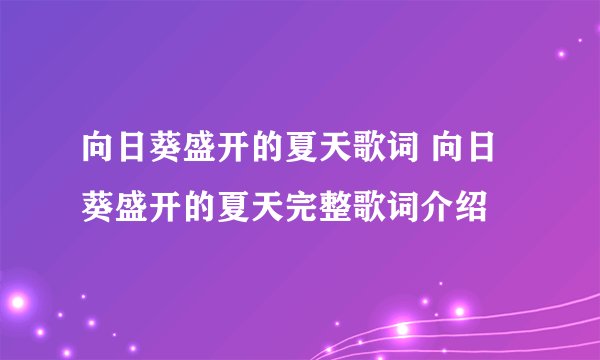 向日葵盛开的夏天歌词 向日葵盛开的夏天完整歌词介绍
