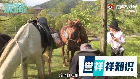 夫妻骑马从新疆回福建已花30多万，为圆侠客梦，网友：另一种生活，羡慕