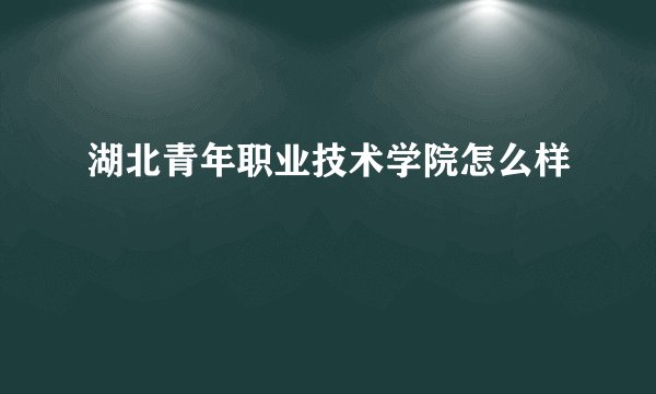 湖北青年职业技术学院怎么样
