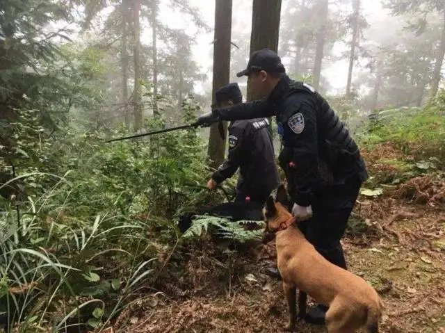 陕西一对双胞胎失踪三天三夜，警犬锁定废弃窑洞，他们是因何出走的？