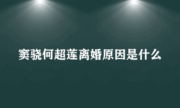 窦骁何超莲离婚原因是什么