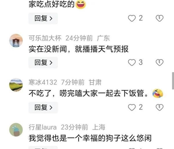 内蒙古一狗子坐凳子上听人聊八卦入迷，评论区炸锅！