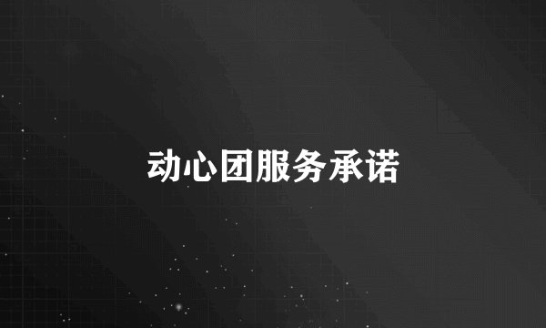 动心团服务承诺